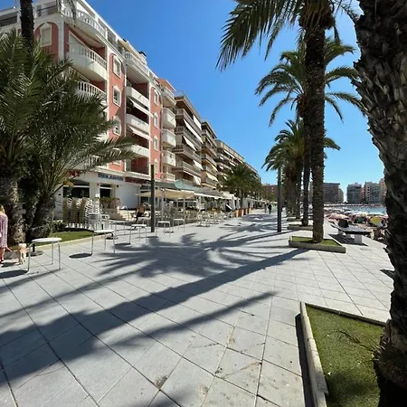 Alegria 3 *